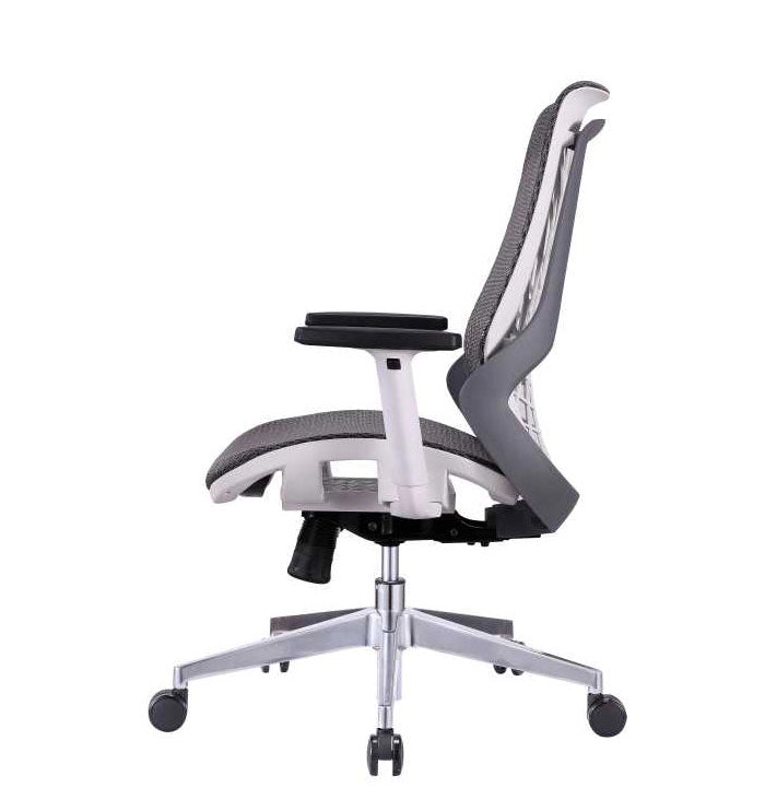 Hunky Spider Medium Back For Home | Office | 2D Armrest | Office Adjustable Arm Chair