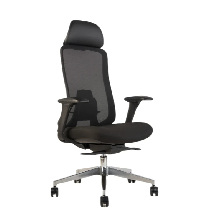 Hunky Fedo High Back Chair With Adjustable Armrest , Mesh Office Executive Chair