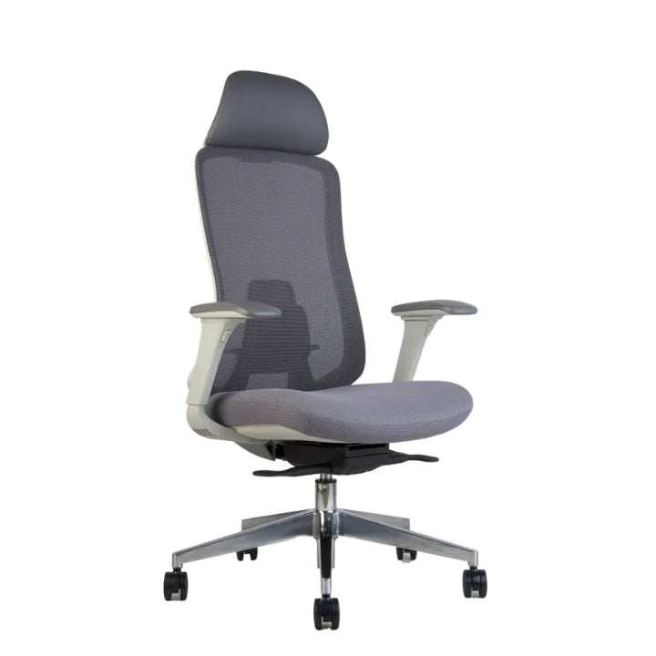 Hunky Fedo High Back Chair With Adjustable Armrest , Mesh Office Executive Chair