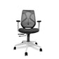 Hunky Spine Medium Back ( Black / White/ Grey ) With 2D Adjustable PU Padded Armrest ,3 Year Warranty , Lumbar Support ,Smart Synchro Multi Lock Mechanism & Heavy Duty Nylon Base (White & Grey )