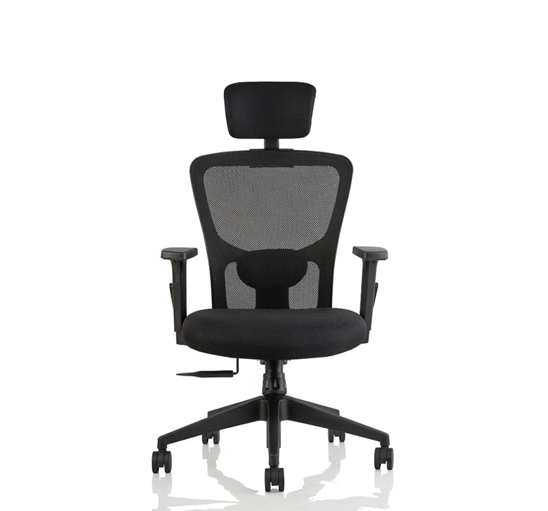 Hunky Jacuzi High Back With 4 Way Adjustable Armrest Ergonomic Chair