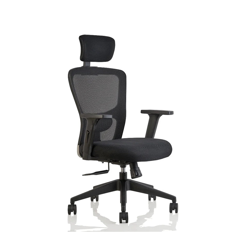 Hunky Jacuzi High Back With 4 Way Adjustable Armrest Ergonomic Chair