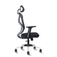 Hunky Spine High Back Ergonomic Desk Chair , Adjustable Armrest , Lumbar Support , Smart Synchro Lock Mechanism & Heavy Duty Nylon Base | 3 Years Warranty