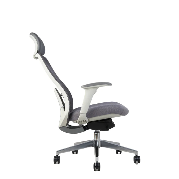 Hunky Fedo High Back Chair With Adjustable Armrest , Mesh Office Executive Chair