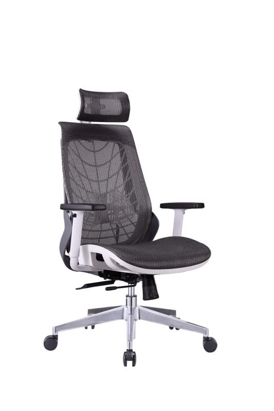Hunky Spider High Back Office Chair | 5 Year Warranty | Mess Ergonomic Chair With Multi Lock Mechanism | 2D Armrest