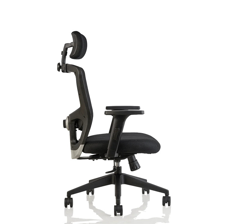 Hunky Jacuzi High Back With 4 Way Adjustable Armrest Ergonomic Chair
