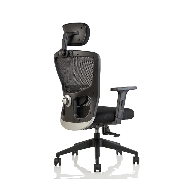 Hunky Jacuzi High Back With 4 Way Adjustable Armrest Ergonomic Chair