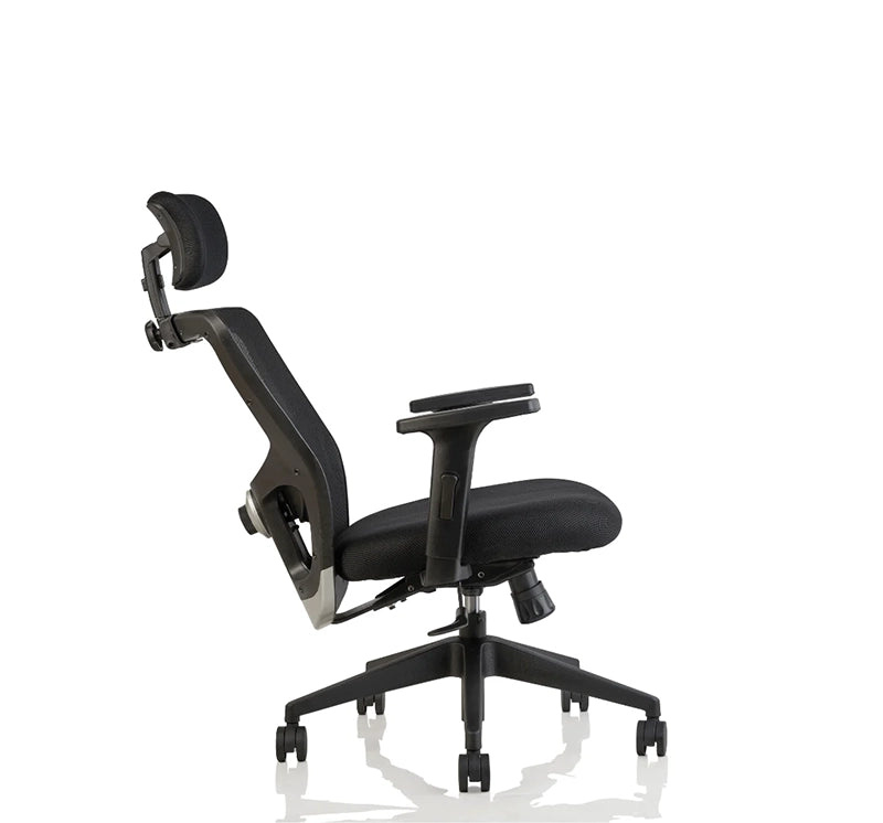 Hunky Jacuzi High Back With 4 Way Adjustable Armrest Ergonomic Chair