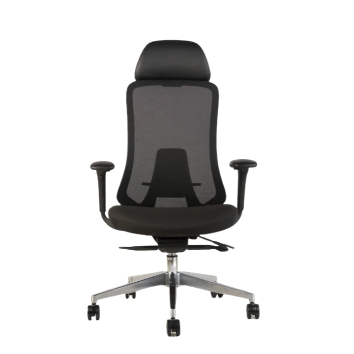 Hunky Fedo High Back Chair With Adjustable Armrest , Mesh Office Executive Chair
