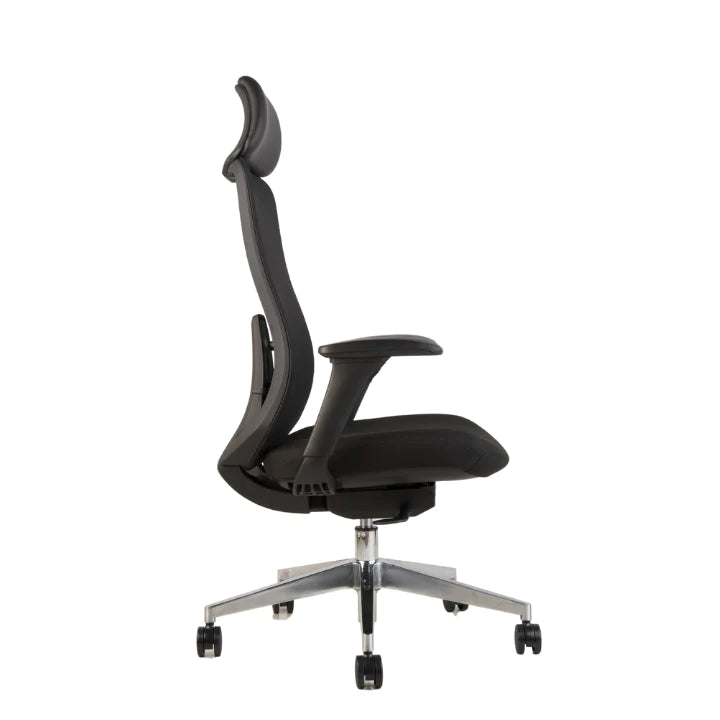 Hunky Fedo High Back Chair With Adjustable Armrest , Mesh Office Executive Chair