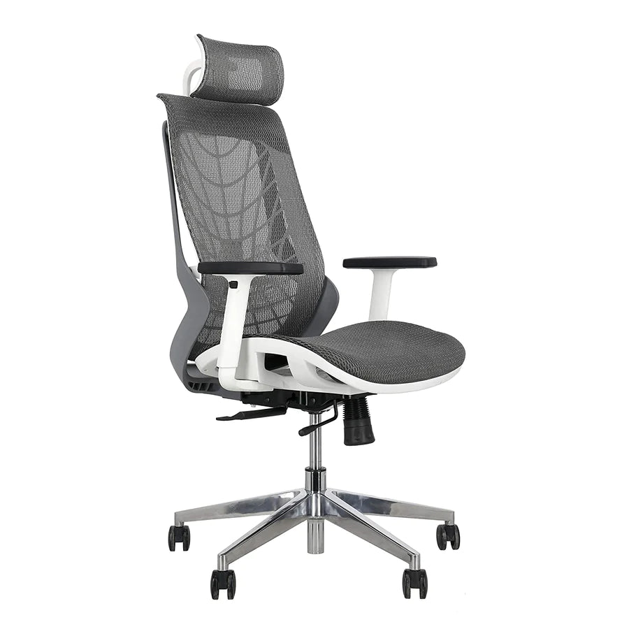 Hunky Spider High Back Office Chair | 5 Year Warranty | Mess Ergonomic Chair With Multi Lock Mechanism | 2D Armrest