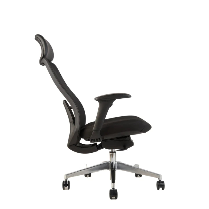 Hunky Fedo High Back Chair With Adjustable Armrest , Mesh Office Executive Chair