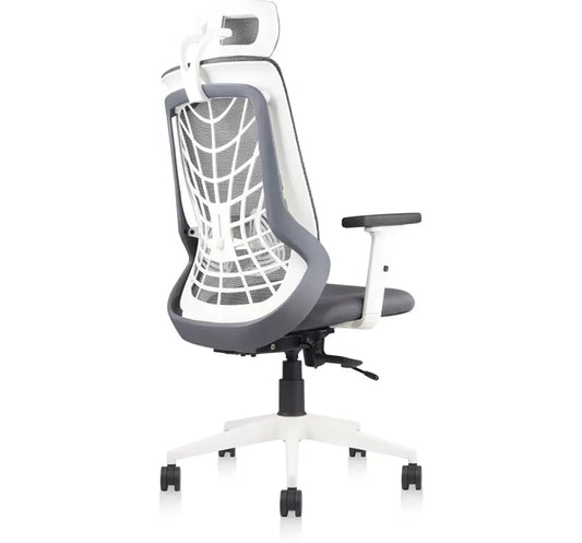 Hunky Spider High Back Office Chair | 5 Year Warranty | Mess Ergonomic Chair With Multi Lock Mechanism | 2D Armrest