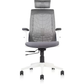 Hunky Spider High Back Office Chair | 5 Year Warranty | Mess Ergonomic Chair With Multi Lock Mechanism | 2D Armrest