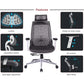 Hunky Spider High Back Office Chair | 5 Year Warranty | Mess Ergonomic Chair With Multi Lock Mechanism | 2D Armrest