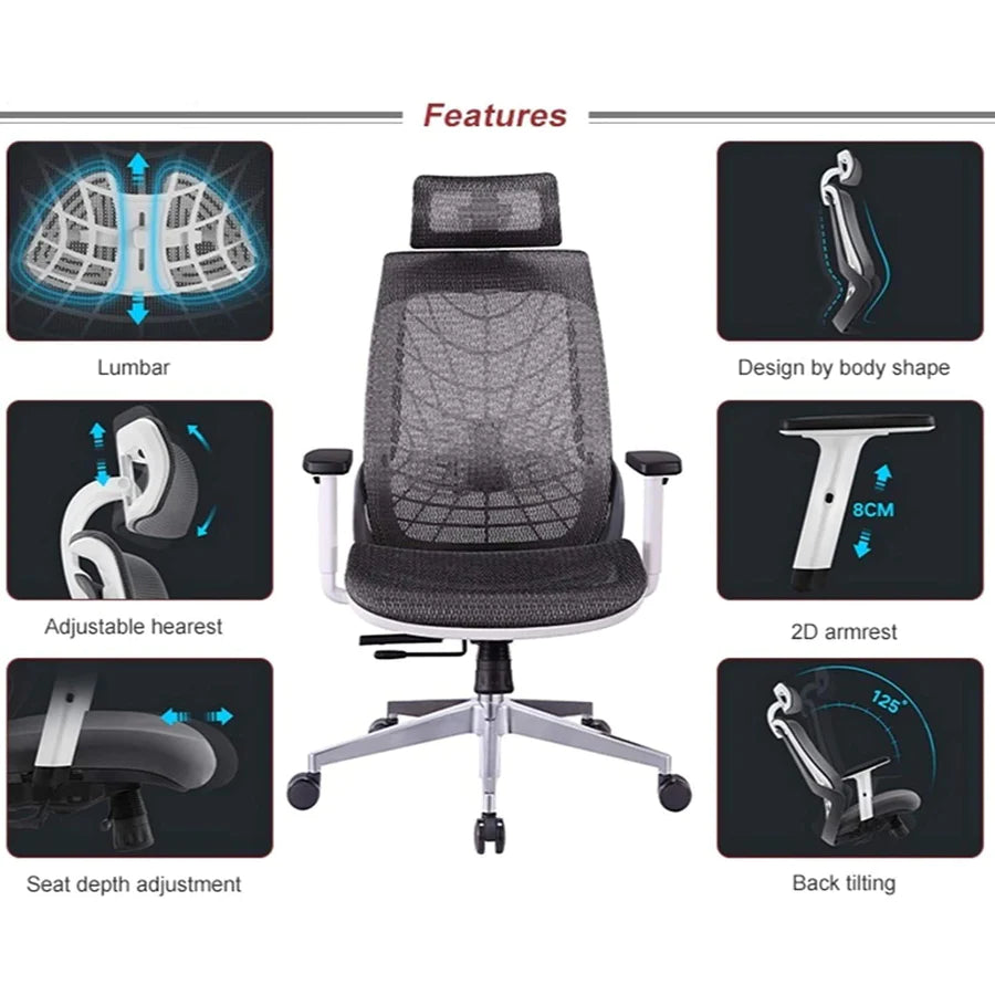 Hunky Spider High Back Office Chair | 5 Year Warranty | Mess Ergonomic Chair With Multi Lock Mechanism | 2D Armrest